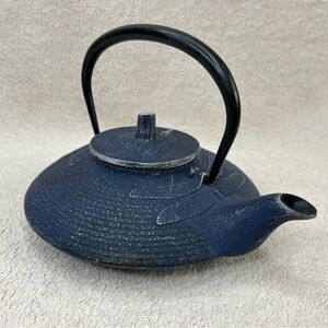 Vintage Japanese Cast Iron Tea Kettle Pot w/Mesh Strainer-Blue/Black-Dragonfly